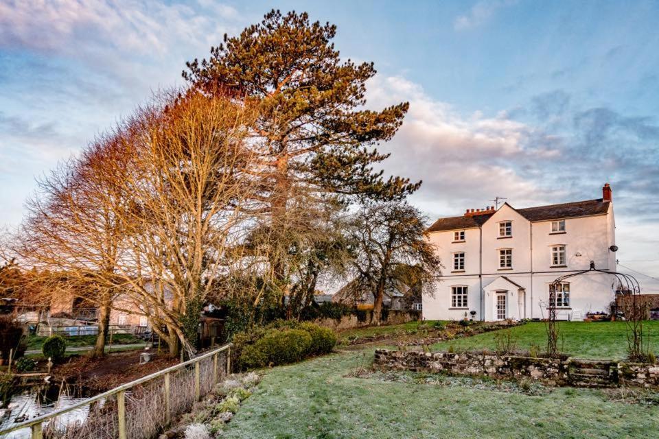 Art House B & B Raglan Eksteriør bilde