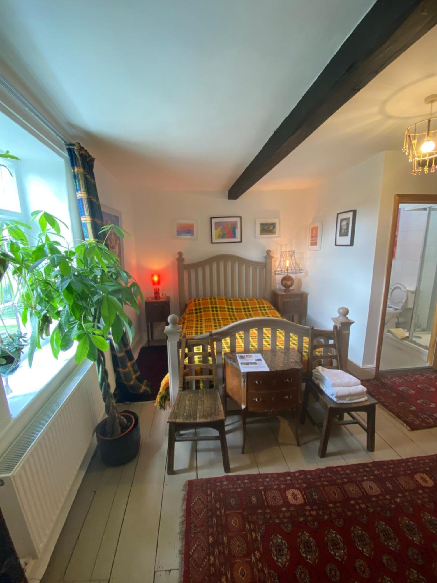 Art House B & B Raglan Rom bilde