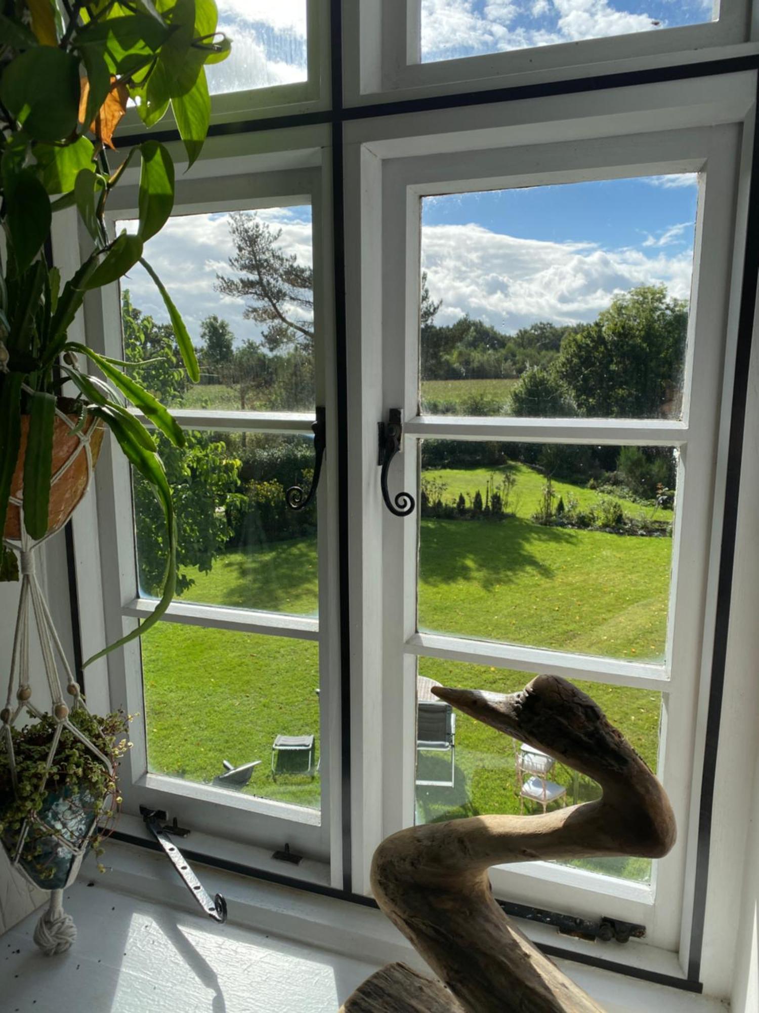 Art House B & B Raglan Rom bilde